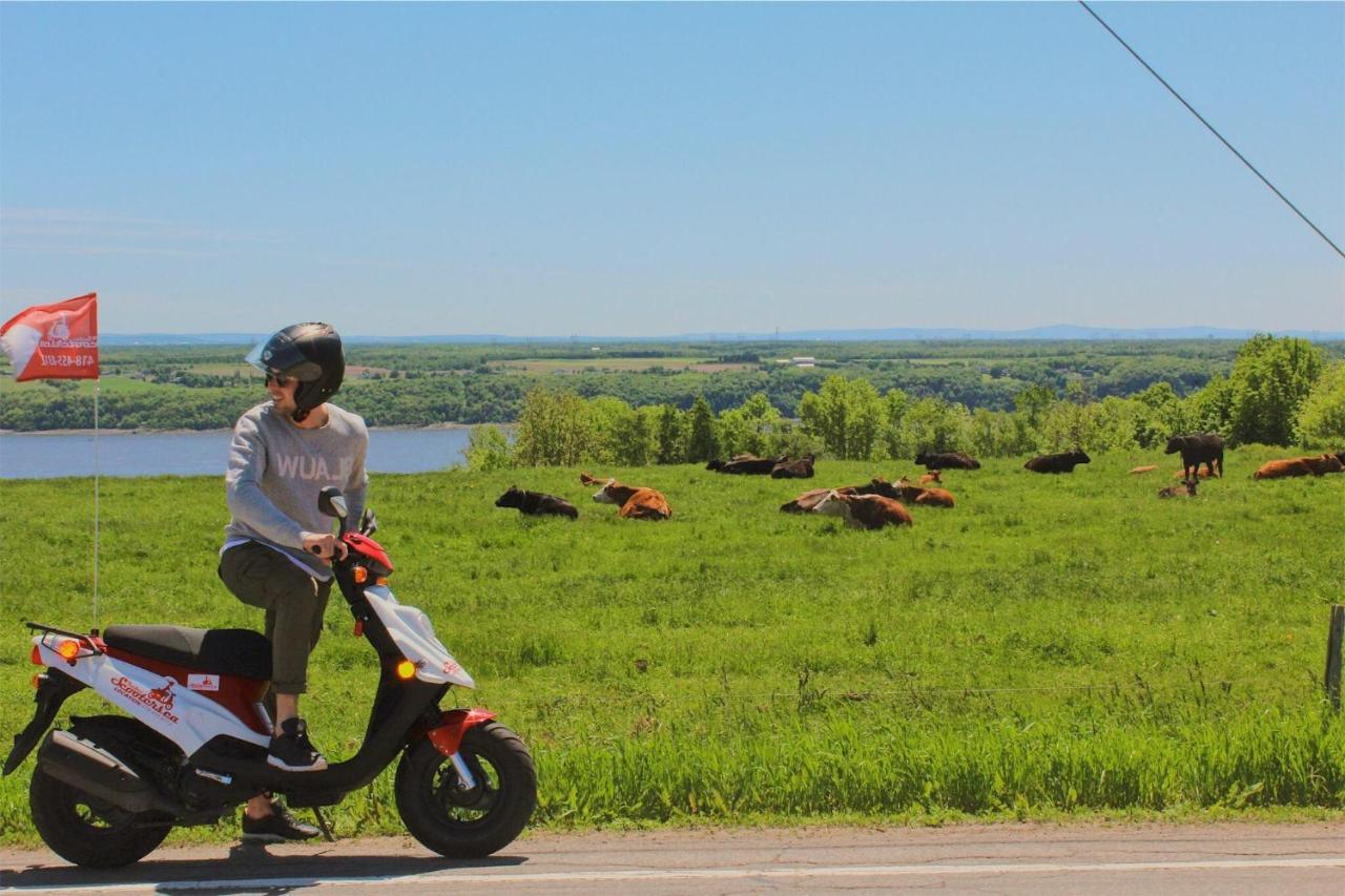 Motel Ile D'Orleans Sainte-Petronille Екстериор снимка